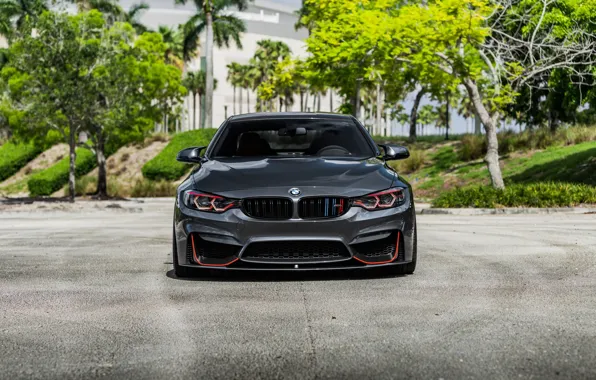Picture BMW, Front, Face, Sight, F83, Evel