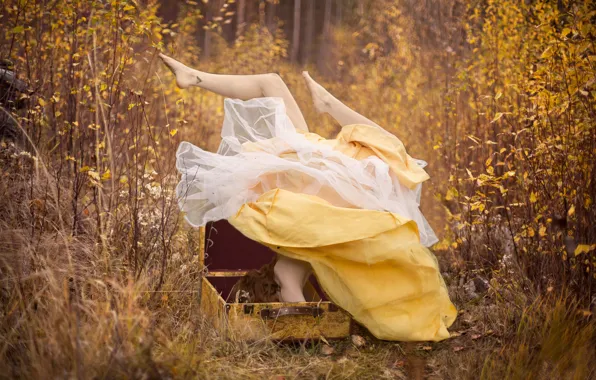 Autumn, forest, girl, dress, suitcase, feet up
