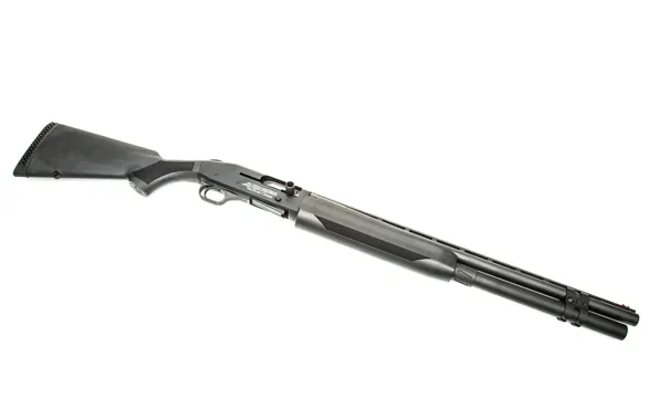 Weapons, the gun, pump, Mossberg 930