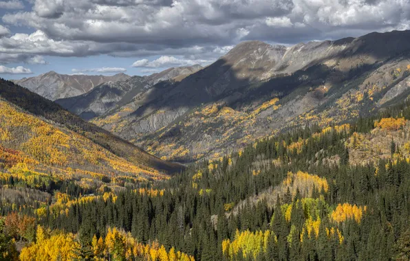 Autumn, forest, the sky, clouds, light, mountains, the slopes, view