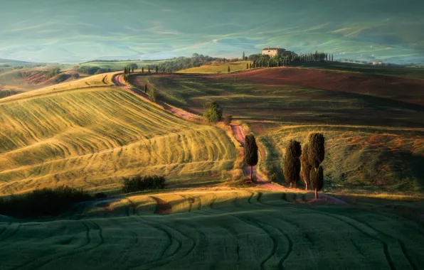 Picture beauty, Italy, Tuscany, region