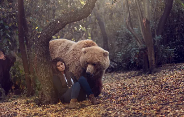 Forest, girl, bear