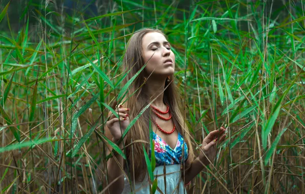 Picture summer, grass, girl, portrait, girls, portrait, evgenysavin, EKB