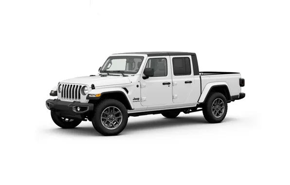 Pickup, gladiator, 2020