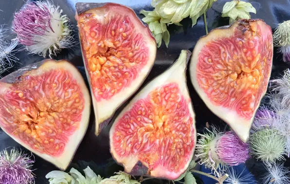 Plate, hops, figs, on a black background