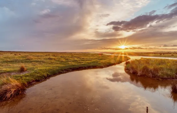 The sky, grass, the sun, clouds, rays, sunset, river, dawn