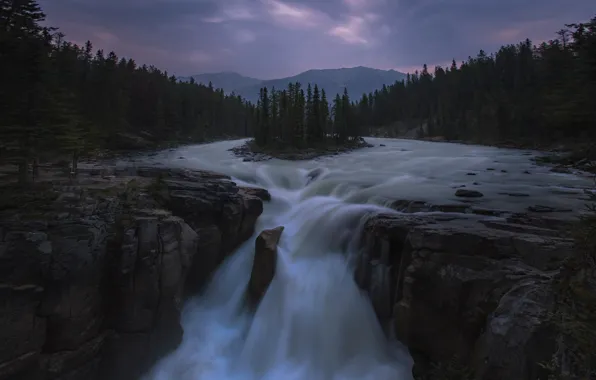 Picture forest, waterfall, stream, twilight