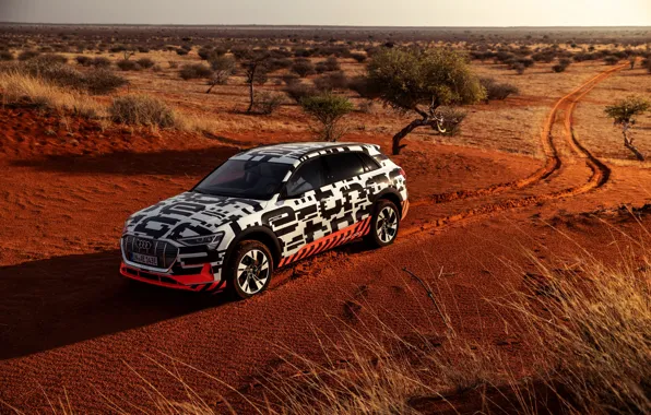 Audi, vegetation, desert, 2018, E-Tron Prototype