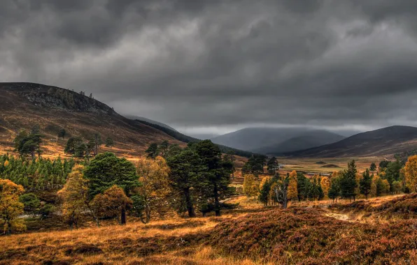 Clouds, trees, mountains