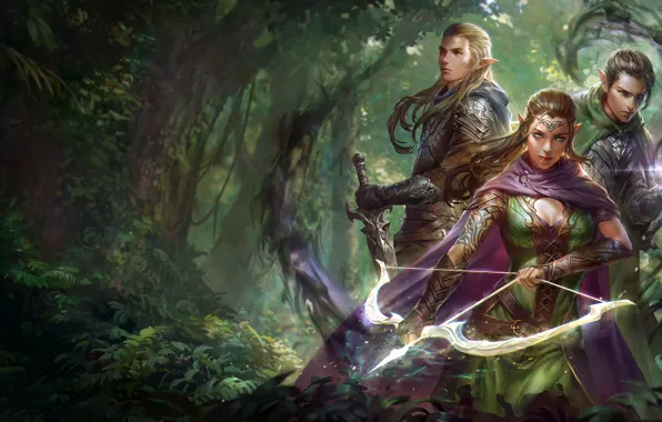 Picture elf, jeremy chong, Gold and Shadow