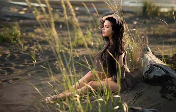 Grass, the sun, pose, model, portrait, makeup, figure, brunette