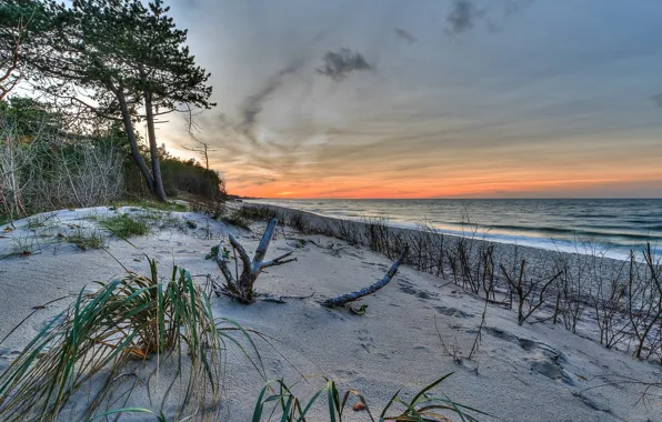 Sea, sunset, shore