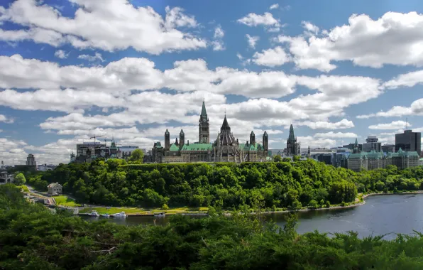 Picture the sky, clouds, trees, the city, river, tower