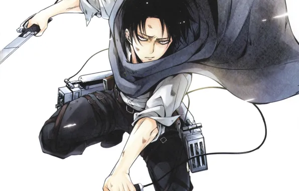 Picture hatred, the battle, swords, the invasion of the giants, Shingeki no kyojin, Levi Ackerman