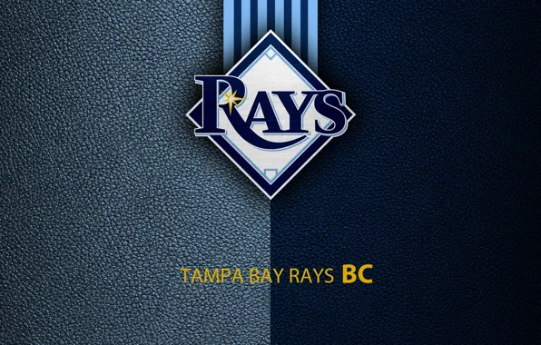 tampa bay rays wallpaper
