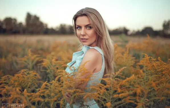 Picture grass, look, girl, face, portrait, meadow, Wojtek Polaczkiewicz