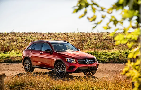 Mercedes-Benz, Mercedes, AMG, AMG, X253, GLC-Class