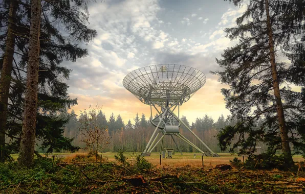 Picture autumn, nature, antenna