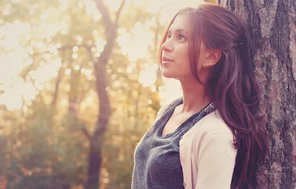 Girl, Beautiful, Tree, Sun, Summer, Pretty, Late, Woods