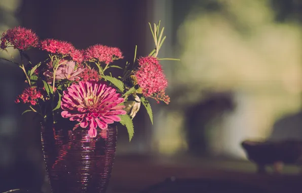 Flowers, petals, vase