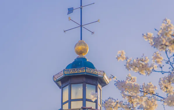 Tower, arrow, lookout, windbreaker