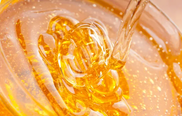 The sweetness, honey, bees