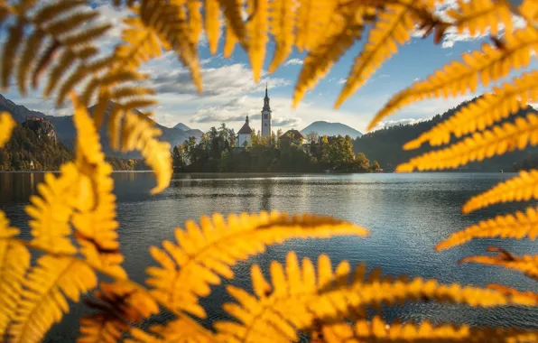 Autumn, clouds, light, mountains, lake, hills, shore, view
