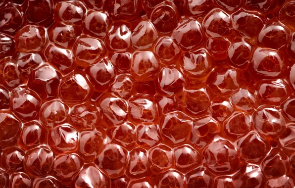 Picture red, bubbles, caviar