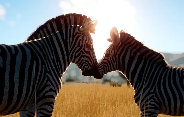 Field, the sky, light, rendering, baby, Zebra, pair, weasel