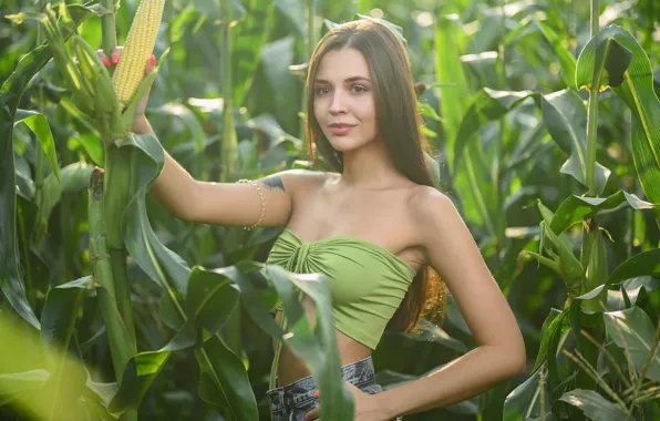 Picture long hair, nature, model, tattoo, women, jeans, brunette, women outdoors