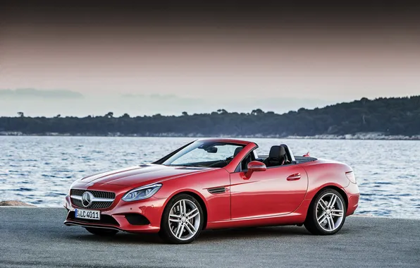 Picture Mercedes-Benz, convertible, Mercedes, R172, SLC-Class