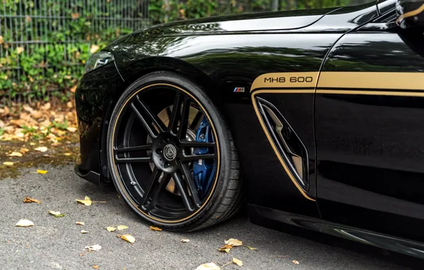 Wheel, BMW, Manhart, 8-Series, 2019, G15, M850i, XDrive