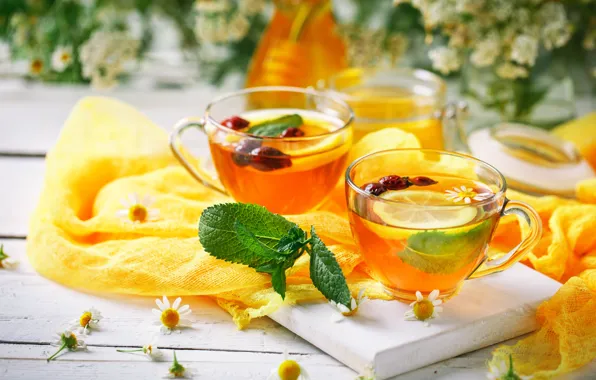 Summer, grass, table, lemon, tea, chamomile, Cup, mint
