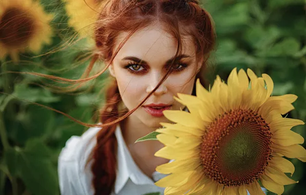 Flower, summer, eyes, look, leaves, girl, sunflowers, flowers