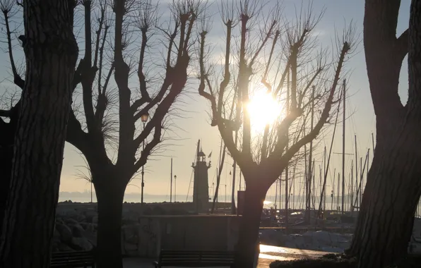 Trees, lighthouse, morning, Italy, Garda, Desenzano del Garda