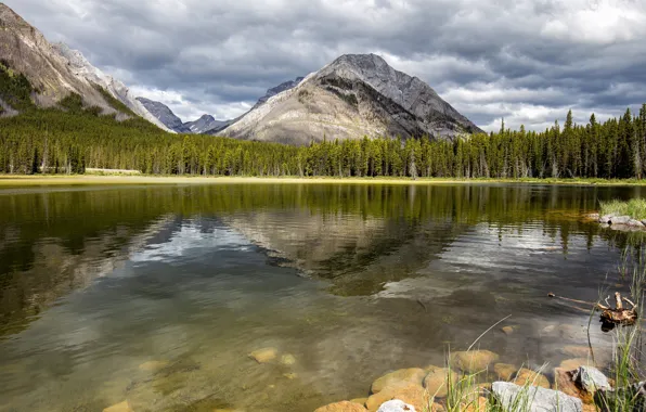 Picture forest, the sky, mountains, reflection, stones, rocks, shore, view