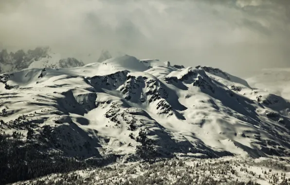Trees, winter, clouds, mountain, snow, fog, hills, pines
