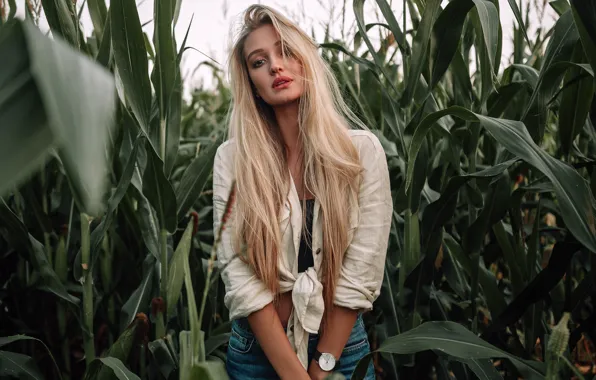 Picture field, look, leaves, pose, model, portrait, jeans, corn