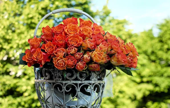 Flowers, background, roses, bouquet