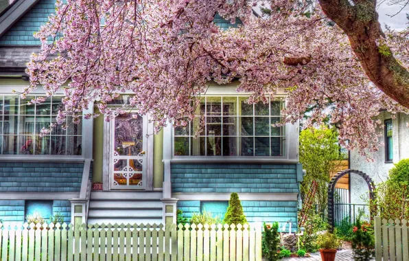 Picture nature, house, photo, tree, color, HDR, spring, house