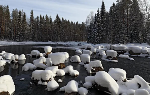 Winter, forest, lake