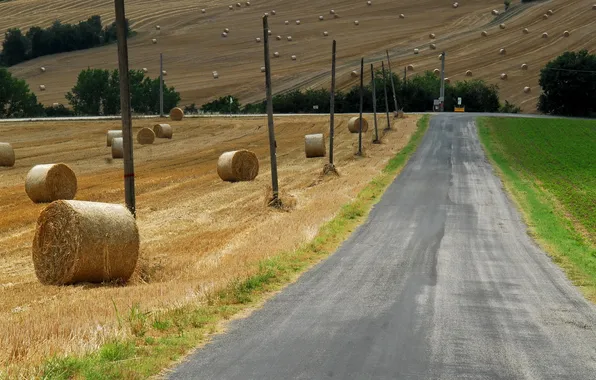 Road, field, summer, hay
