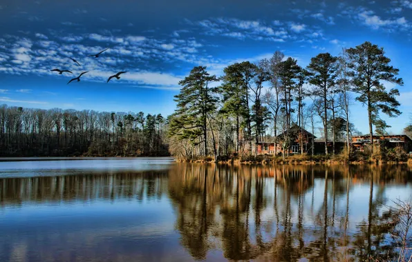 The sky, trees, lake, house