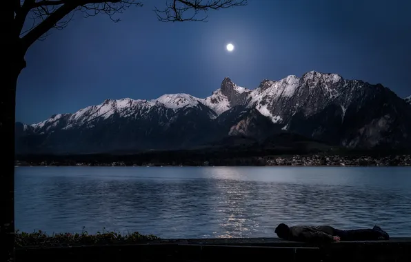 The sky, snow, mountains, night, branches, the moon, shore, tops