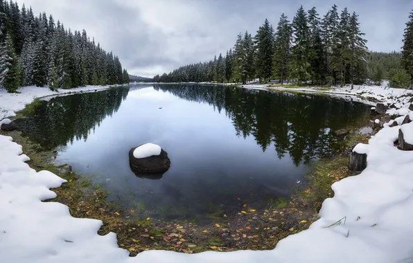 Autumn, forest, snow, trees, lake, late