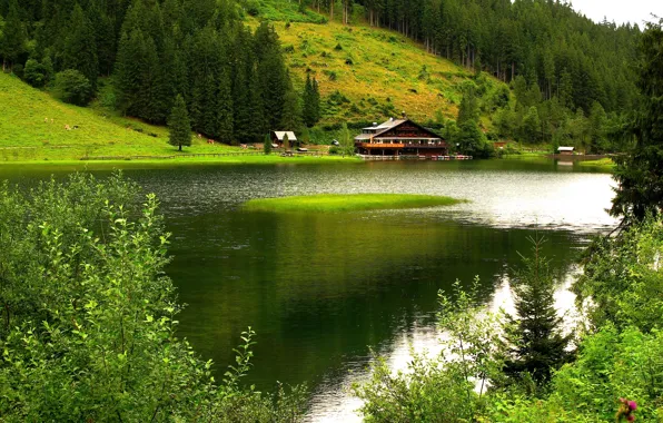 Trees, mountains, nature, house, river, boats, pasture.