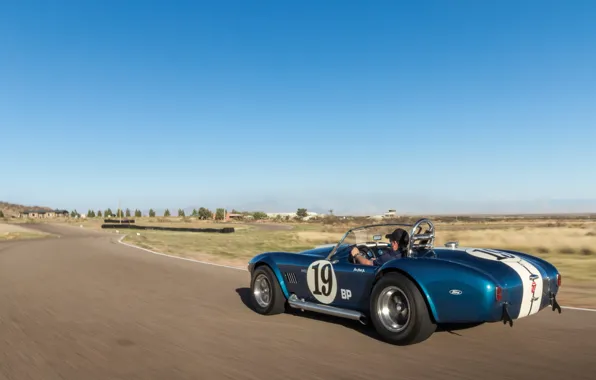 Shelby, sports car, rear view, Cobra, Shelby Cobra 289