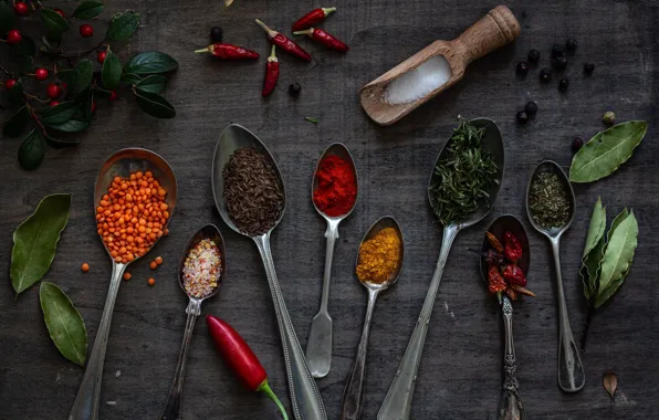 The dark background, pepper, different, spices, spoon, salt, seasoning, cuts