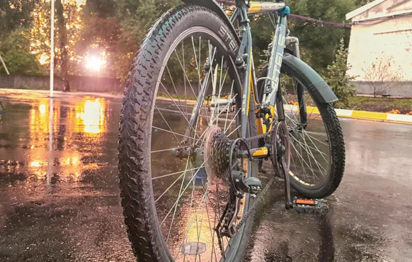 Asphalt, the sun, nature, wet, stay, Bike, sun
