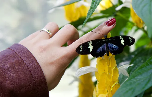 Leaves, flowers, butterfly, hand, wings, ring, beautiful